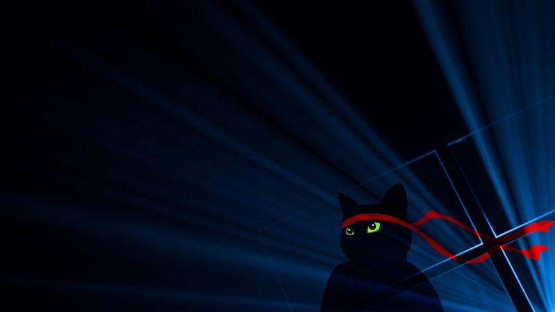 Windows_Insider_Anniversary-Ninjacat