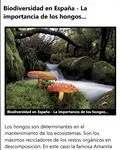 Muy interesante