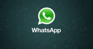 whatsapp para Windows Phone con mango