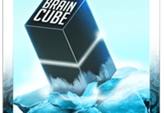 Brain Cube