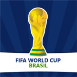 Copa del Mundo 2014