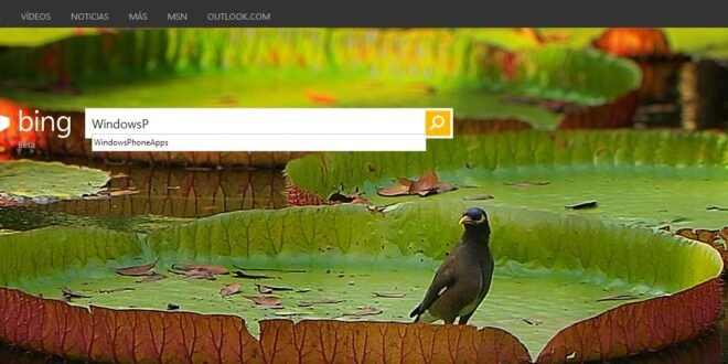 Bing WPA