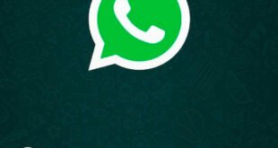 WhatsApp Beta 2.11.552