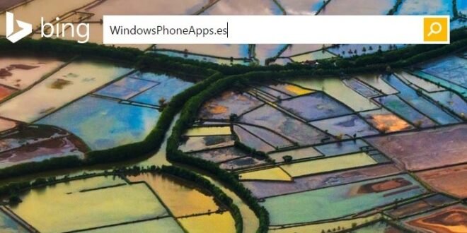 Microsoft prepara la nueva interfaz de Bing