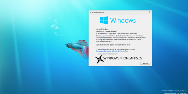 Windows 10