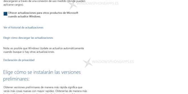 Cómo seleccionar el modo rápido o lento de actualizaciones en Windows 10 Technical Preview