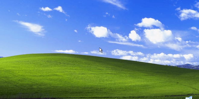 windows xp