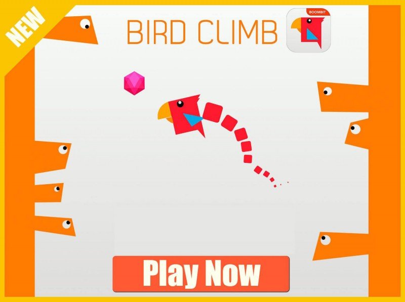 bird climb