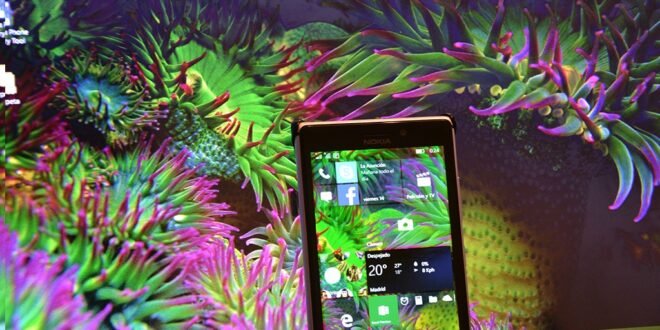 Dynamic Wallpaper, la aplicación que cambia automaticamente tu fondo de pantalla de inicio en Windows 10 Mobile