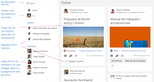 Office Delve
