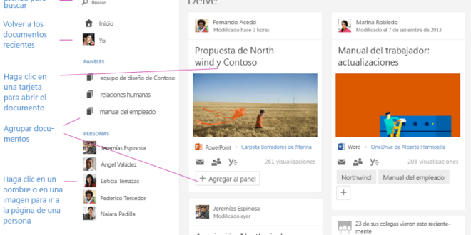 Office Delve