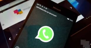 Whatsapp estaría incorporando el soporte para GIFs en sus versiones Beta