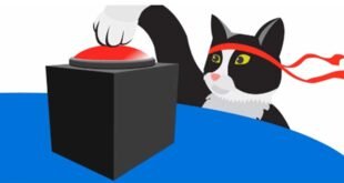 windows-10-ninja-cat