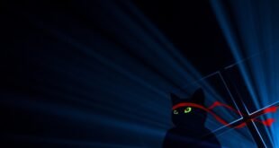 NinjaCat de nuevo protagonista en la Actualización de Aniversario