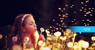 Adobe Photoshop Elements 15 ya está disponible en la tienda Windows 10 y llega de oferta
