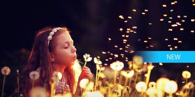 Adobe Photoshop Elements 15 ya está disponible en la tienda Windows 10 y llega de oferta