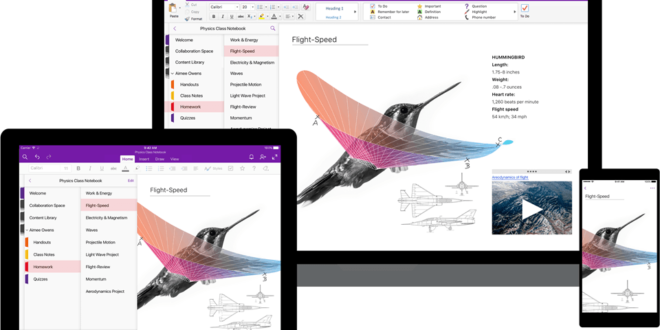OneNote