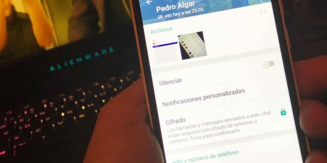 Whatsapp-Android-Info