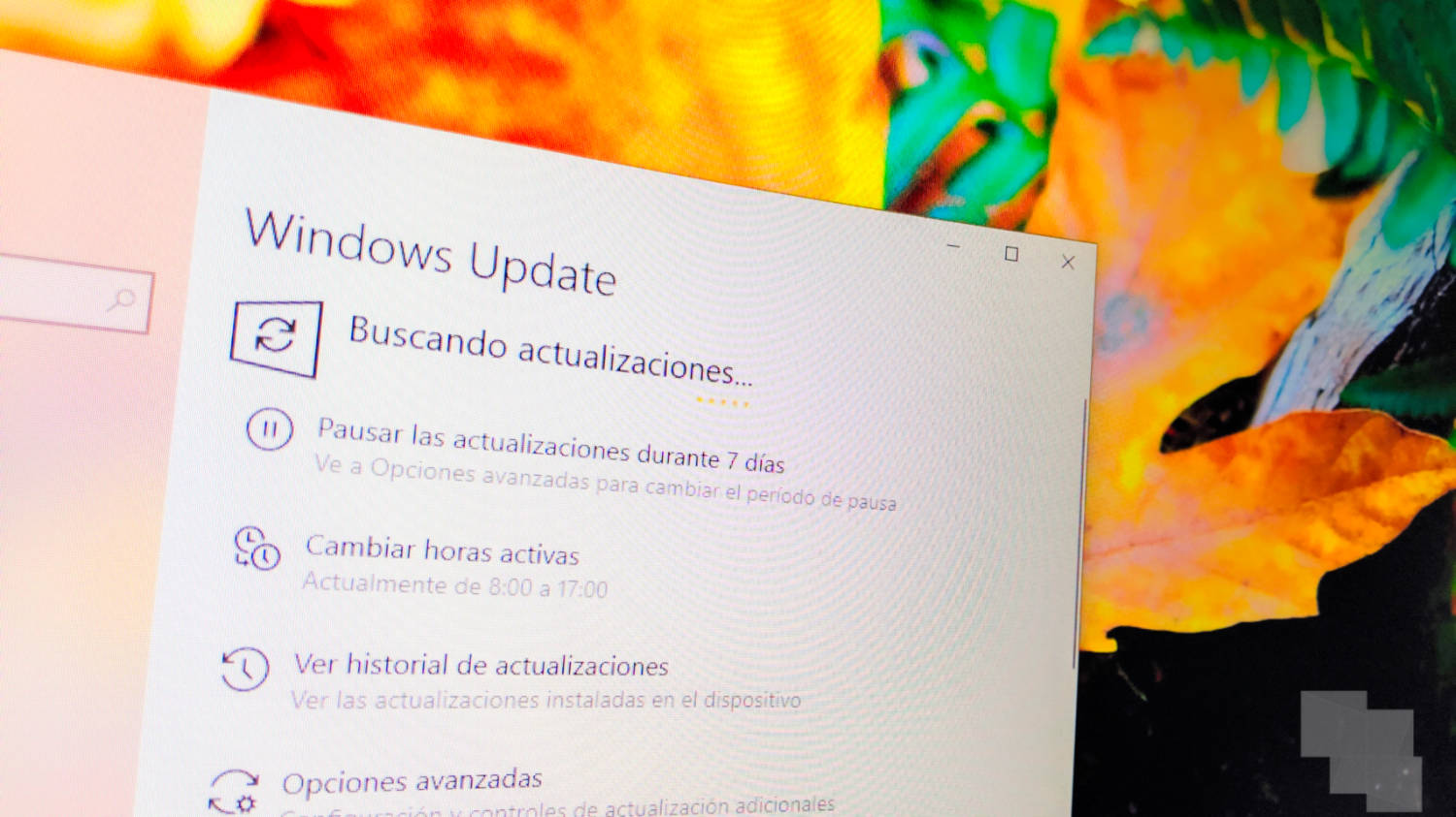Windows 10 November 2019 Update es la próxima actualización y ya tiene Build candidata