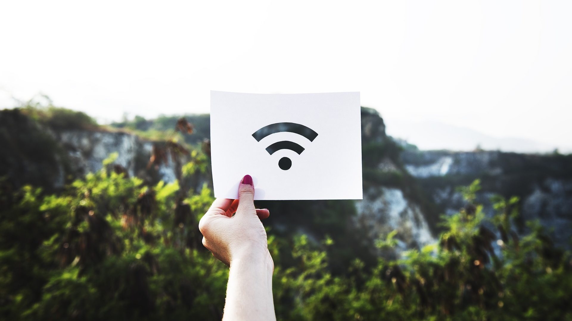 ¿Problemas con tu conexión WiFi? la Build 18362.356 puede ser la culpable
