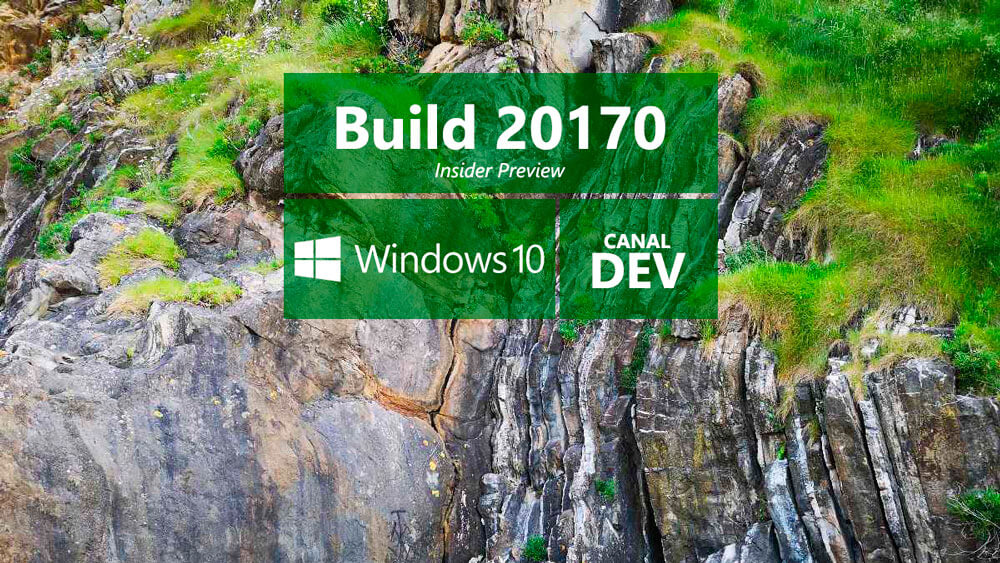 Build 20170