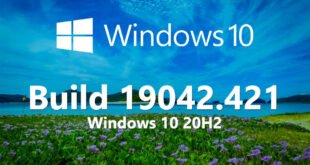 Build 19042.421 de Windows 10 20H2