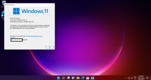 Windows 11 recibirá una única actualización con novedades importantes al año