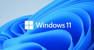 Windows 11 Build 22483 disponible como actualización en el canal Dev y en forma de ISO